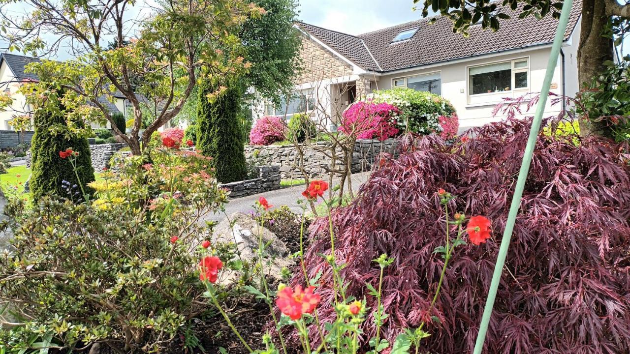 Laburnum B&B Kenmare Exterior photo